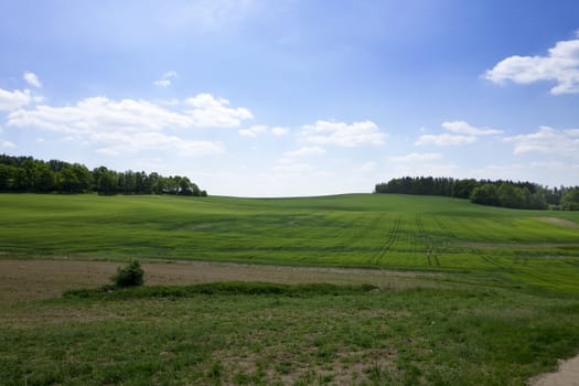 Landscape in the south of Czech Republic