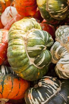 Bischofsmütze Turk Turban cucurbita pumpkin pumpkins from autumn harvest on a market