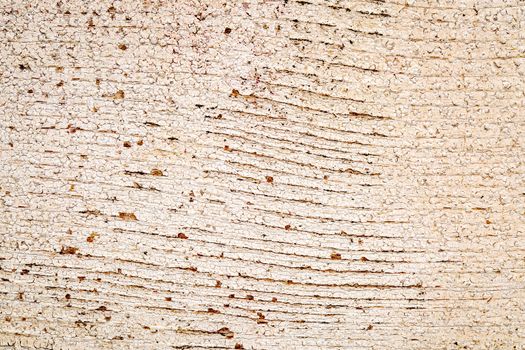 background texture of weathered barn wood with grain and white paint peeling off