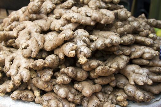 Fresh juicy ginger on a counter in the market of India of Goa.