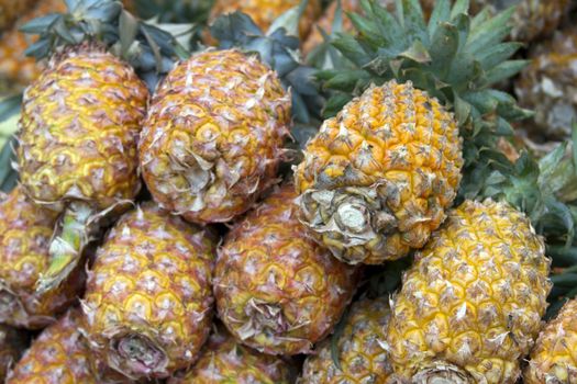 Fresh juicy pineapple on the market in India Goa.