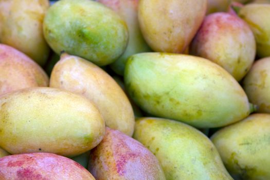 Fresh juicy mango on the market in India Goa.