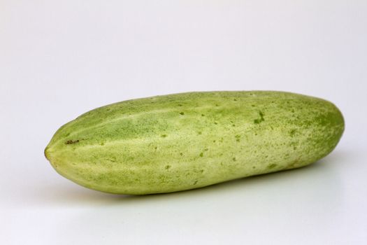 A fresh and tasty green vine ripened garden grown cucumber isolated on white.