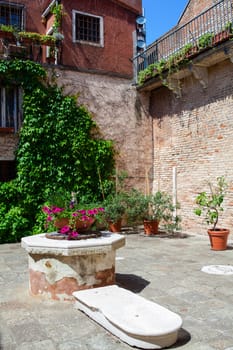 View of Typical Venice well covered by flowers