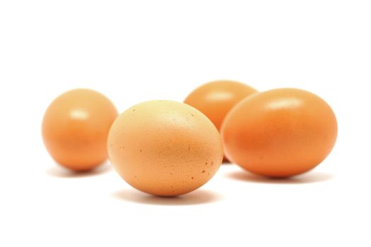 Egg isolated on white background
