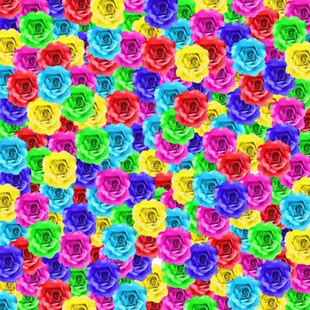 colorful rose flower as floral background  