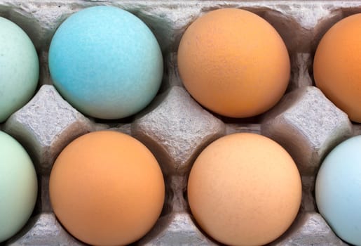 Grouping of multi-colored organic eggs macro.