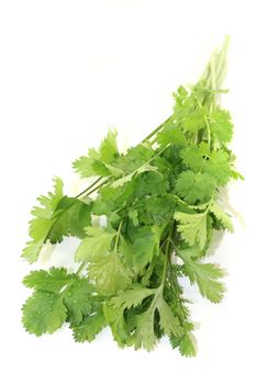 green bunch of coriander on a light background