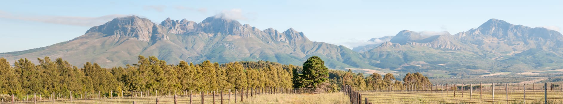 Panorama of the Helderberg (Clear Mountain) and Hottentos-Holland Mountains as seen from a farm near Sir Lowrys Pass