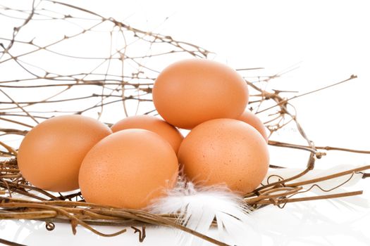 Fresh organic natural brown eggs isolated on white background. Fresh modern image language. Culinary arts. 