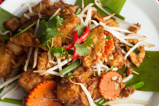 Thai style radish cakes dish with chicken.  Also referred to as turnip cakes. Shallow depth of field.