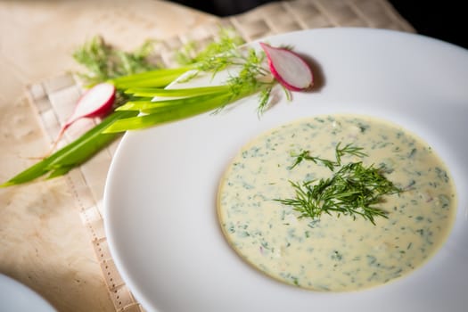 Traditional Russian kvass soup with vegetables - okroshka