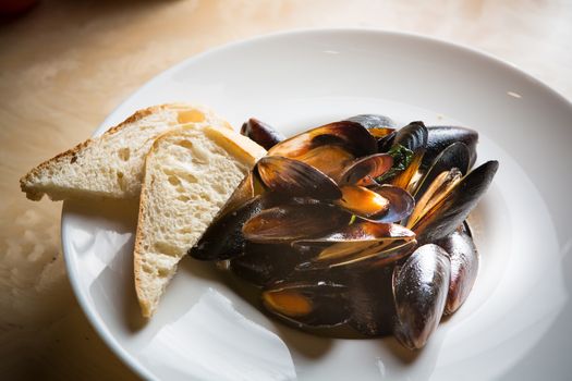 mussels whith sauce of fresh tomatoes in white plate