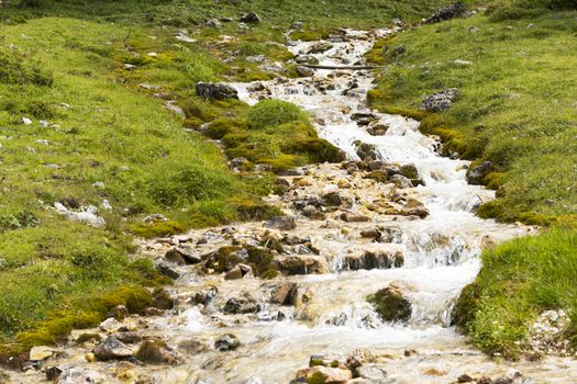 river in the green meadow of Venegia Valley, Dolomites - Trentino