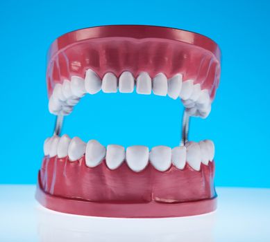 Tooth, bright colorful tone concept