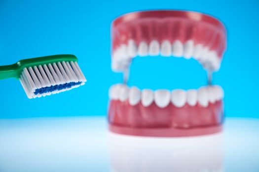 Tooth, bright colorful tone concept