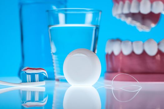 Anatomy of the tooth, bright colorful tone concept