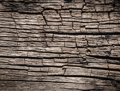 Abstract background or texture old wood board