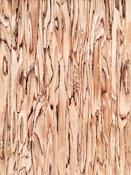 Beautiful wood background. Detail of a wooden wall.