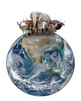 group of asia animal with planet earth, Element of this image are furnished by NASA