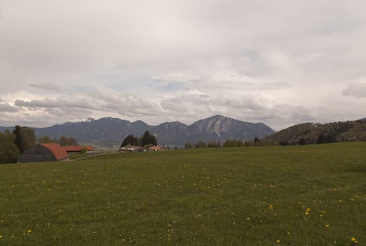 A open field with flowers and some houses and mountains in the background