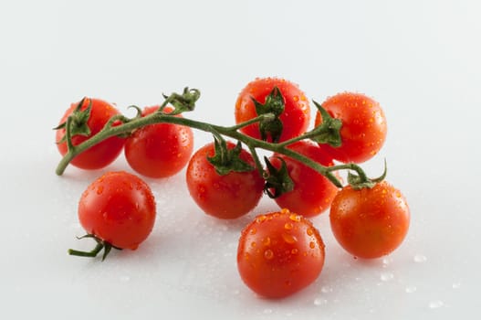 Small tomatoes on white background with reflections