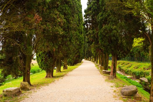 View of cypress road, Roman ruins on Archeological area of Aquileia in Italy