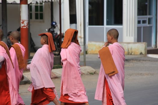 Buddhist nuns in Myanmar Feb 2015 No model release Editorial use only