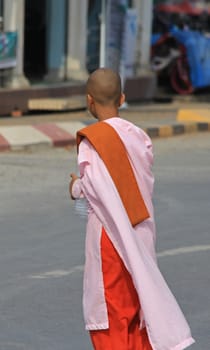 Buddhist nun in Myanmar Feb 2015 No model release Editorial use only