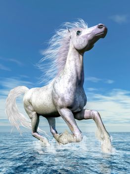 White horse running freely in the water by beautiful day - 3D render