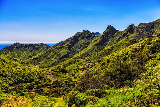 Green mountains or rocks valley with winding road and sky with ocean on horizon or skyline landscape in Tenerife Canary island, Spain at spring