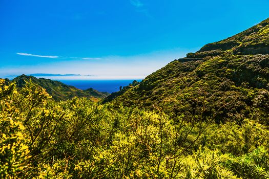 Green mountains or rock and blue sky with skyline and ocean landscape in Tenerife Canary island, Spain