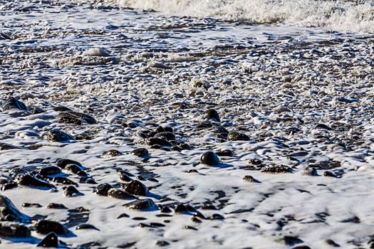 Stones in foam on the beach coast or shore of ocean or sea