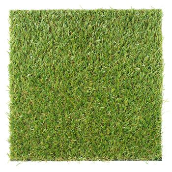 artificial grass isolated on white