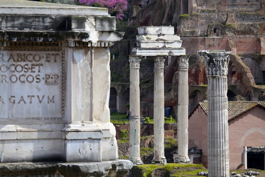The Roman Forum ruins in Rome, Italy