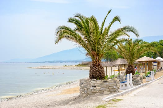 Empty Beach with Palm trees at summer, Skotina, Greece