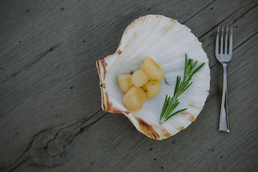 Delicious sea scallop served on a scallop shell on wooden background