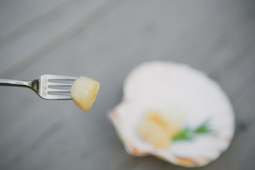 Delicious sea scallop served on a scallop shell on wooden background