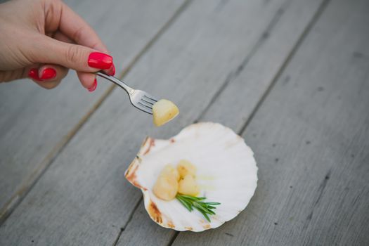 Delicious sea scallop served on a scallop shell on wooden background