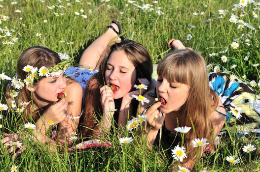 three teen girls eating fresh strawberry on the daisy field 