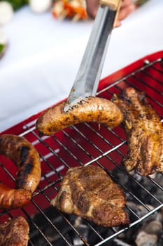 Barbecue, bright colorful vivid theme