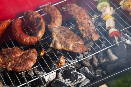 Barbecue, bright colorful vivid theme