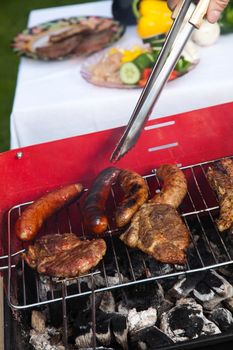 Barbecue, bright colorful vivid theme