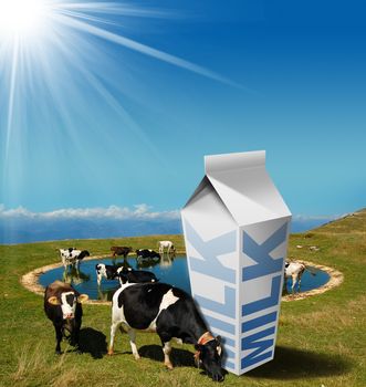 Cows grazing in the mountains with white milk carton with text Milk. Fresh milk concept