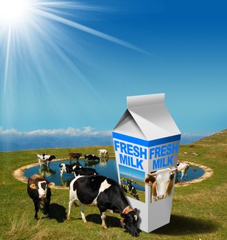 Cows grazing in the mountains with white milk carton with text Fresh Milk. Fresh milk concept