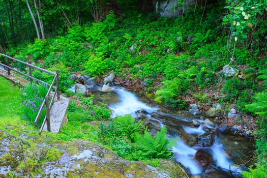View of torrent in Arzo countryside, Verbania. italy