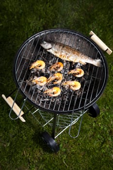 Grilling fish, bright colorful vivid theme