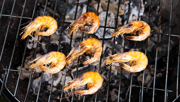 Grilling time, Grill, bright colorful vivid theme