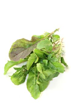 green bunch of Arugula on a light background