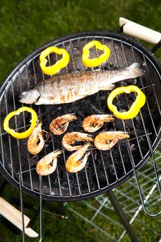 Grilled Foods, Fish, bright colorful vivid theme